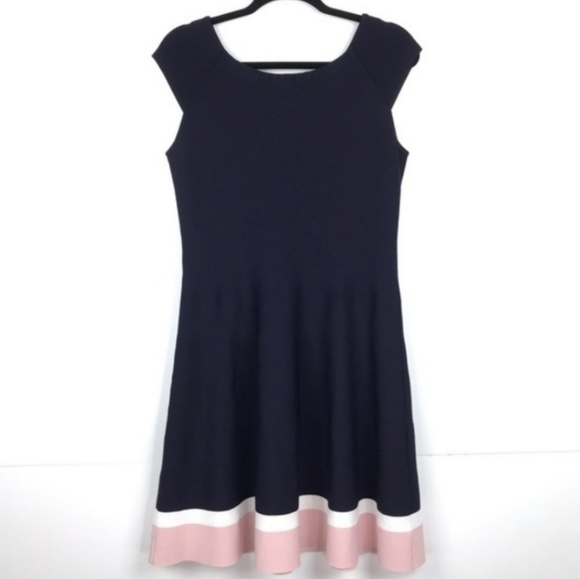 Eliza J Fit & Flare Stretch Knit Dress Navy & Pink